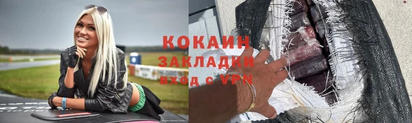 хмурый Долгопрудный